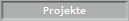 Projekte